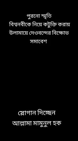 আল্লামা মামুনুল হক জিন্দাবাদ 