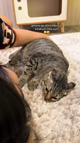 sabar ya cantik 