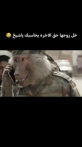 #يوميات_بسبوس_وزعفران 