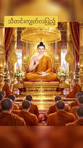 #မင်္ဂလာညချမ်းလေးပါရှင်  🪷🪷🪷🪷🪷🙏🙏🙏🙏🙏🌺🌺🌺🌺🌺🌿🌿🌿🌿🌿🌿🌿
