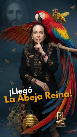 ¡LLEGÓ LA ABEJA REINA 🐝! ¡Esto es lo que hay! Llegó la ley y el Orden a casa BIENEVENIDA A LA COLMENA VENEZUELA #venezuelatiktok #LlegóLaAbejaReina🐝 #mcm 
