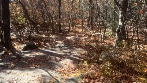 #massachusetts #MentalHealth #mountains #Hiking #trees 