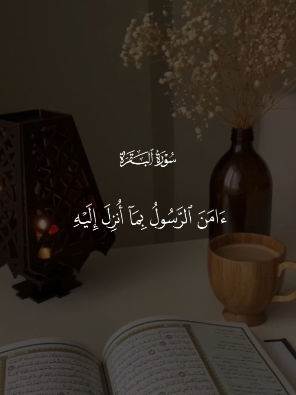 اللَّهُمَّ صَرِّفْ قُلُوبَنَا عَلَى طَاعَتِكَ.❤️‍🩹 #quran #quran_alkarim #quranrecitation #قران 