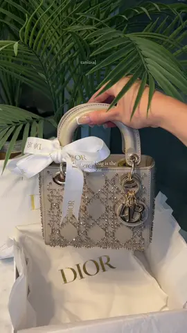 This crystal embellished bag is the moment 🪽 ✨ #fyp #bagtok #diorunboxing #crystal #fashiontok 