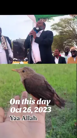 #onthisday #raayyaa_abbaa_maccaa #sallallaahualeeyhiwasallam 