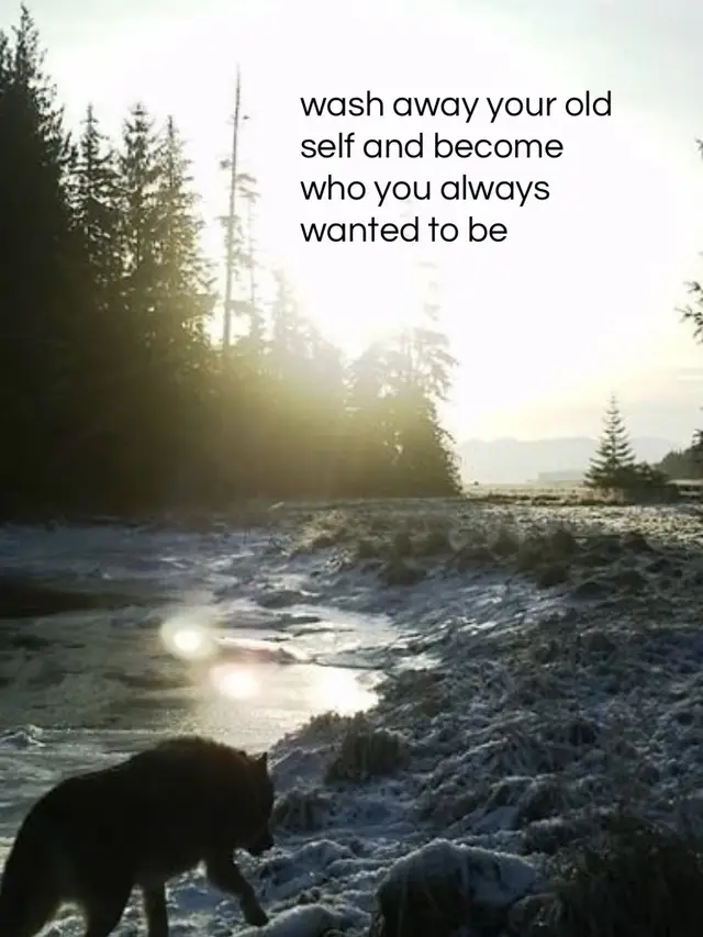 “wash away your old self and become who you always wanted to be” — dusky.rains |  #hopecore #quotes #selfgrowth #healing #innerpeace
