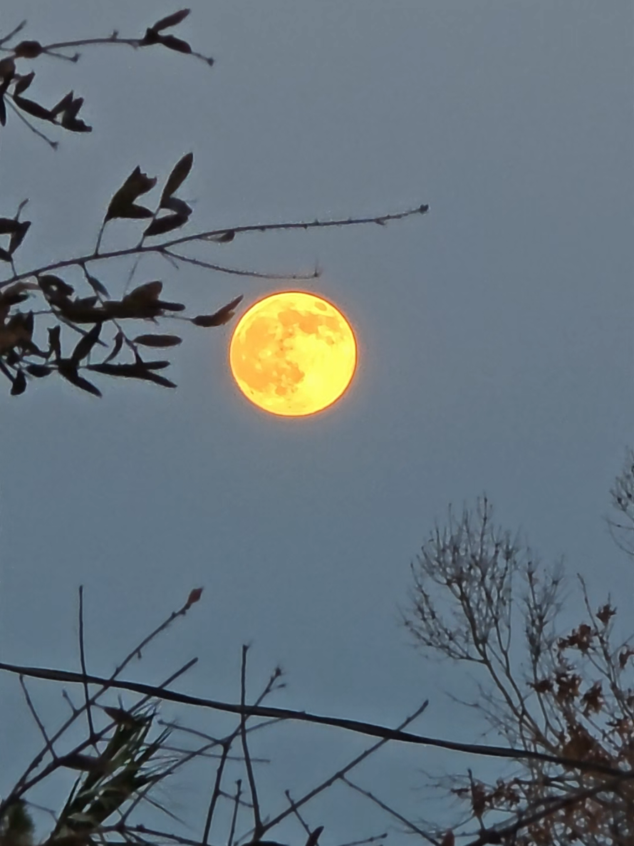 Such a beautiful moon tonight. There's something so peaceful about a quiet night under the stars. #MoonLovers #BeautifulMoon #NightSky #MoonPhotography #MoonVibes 