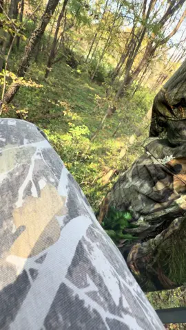 This is a video of me harvesting my first buck ever and first deer with my compound bow #firstdeer #matthews #compound #buck #harvest 