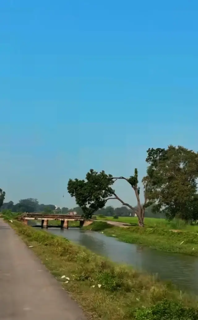 #PainfulMoments #PunjabiFeelings #hearttouching #EmotionalVibes #foksinger 