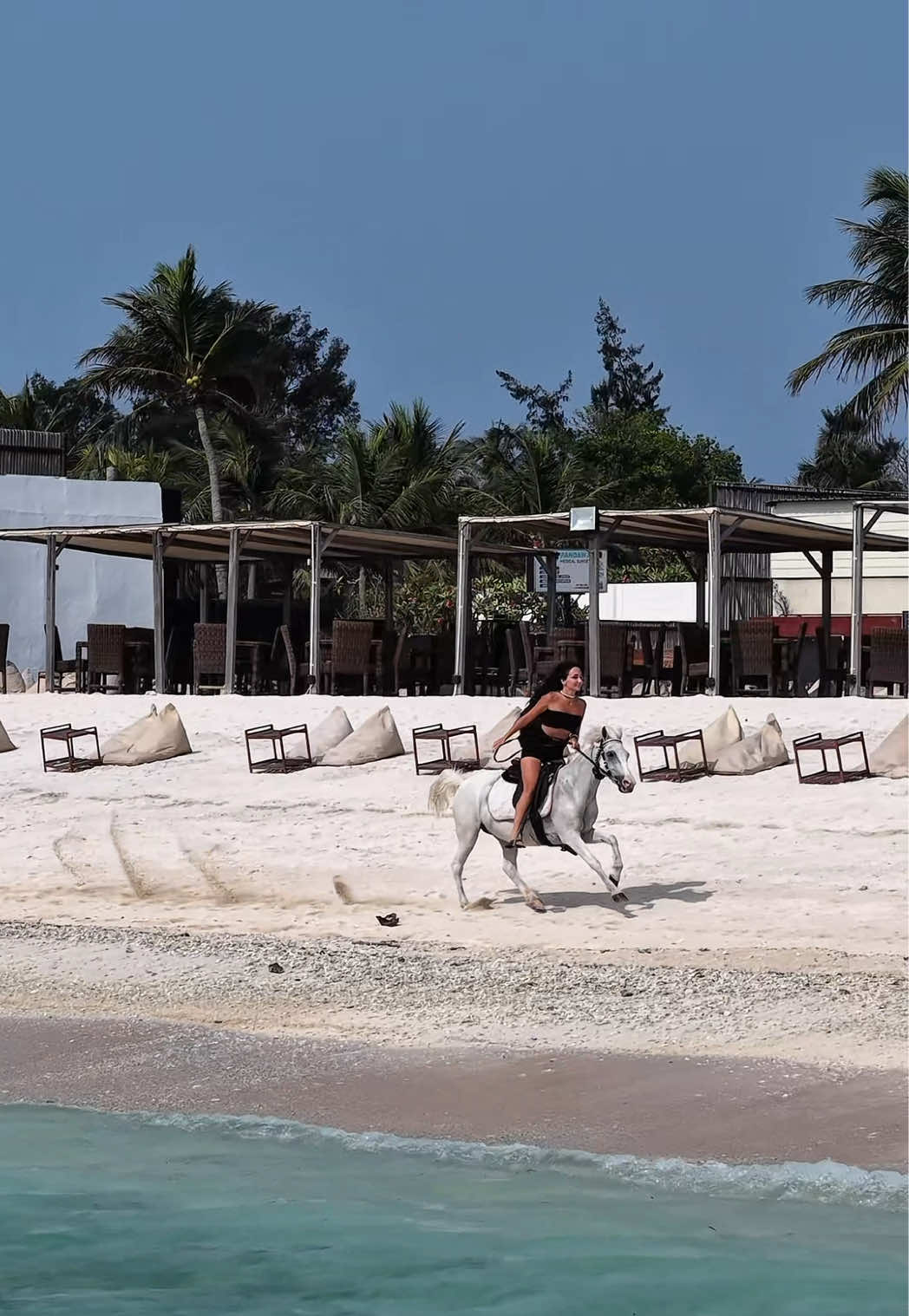 Horse riding Gili Trawangan  #gilitrawangan #gili #horseriding🐴 