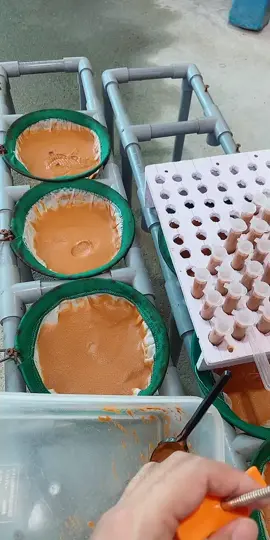 Tham gia buổi LIVE của chúng tôi để nhận nhiều khuyến mãi độc quyền!