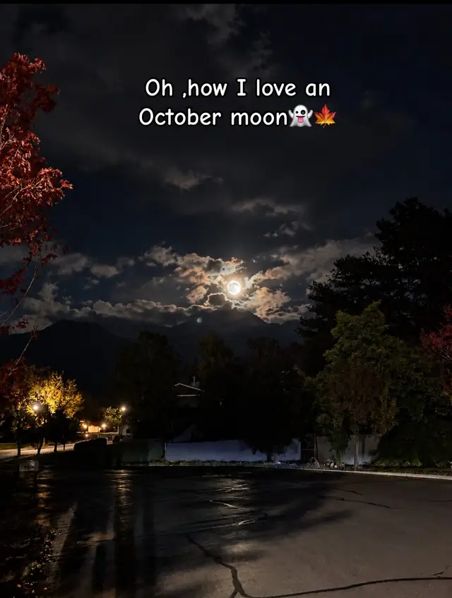 🍁 who doesn’t love an October moon! 👻🍁🎃