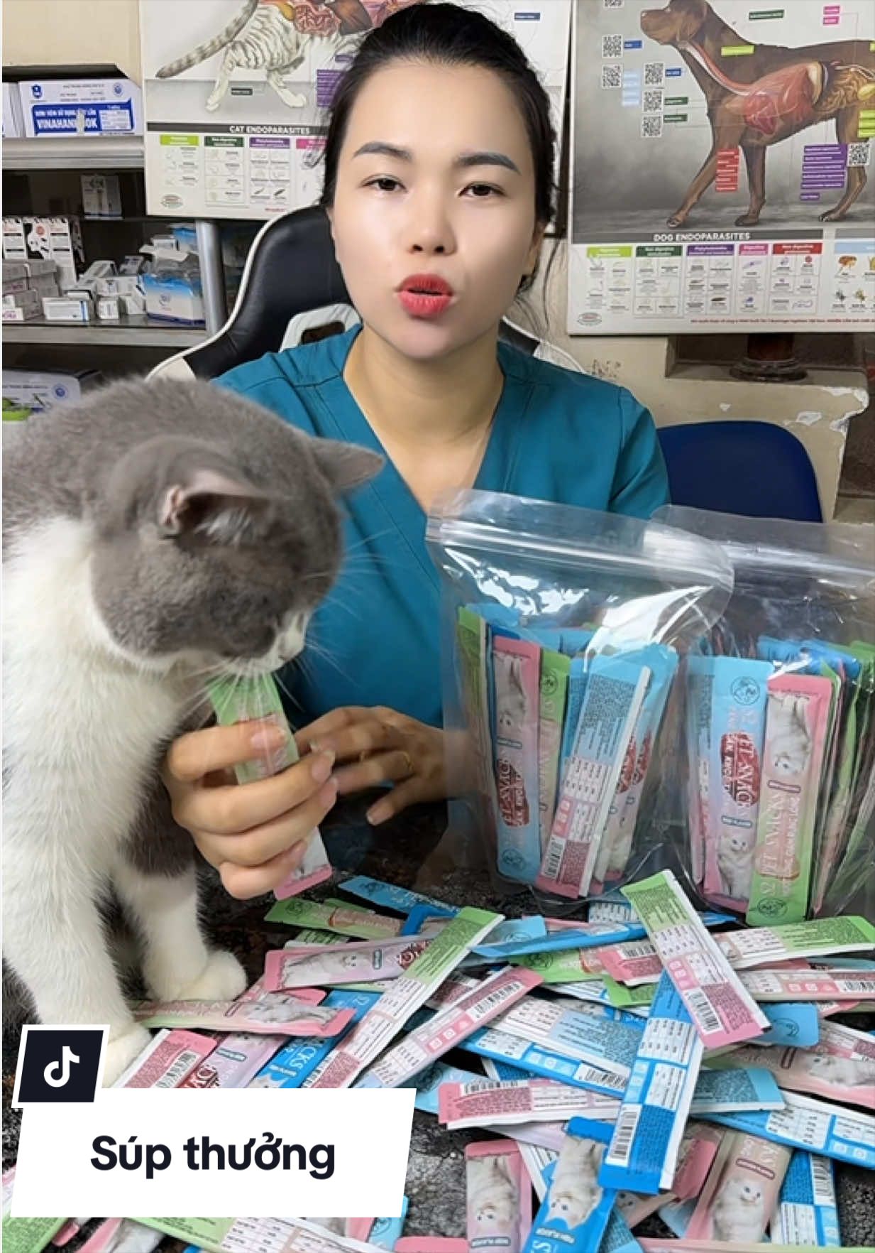 Súp thưởng cho mèo #supthuongchomeo #supthuong #supthuongs2pet  #meo #supthuongmeo 