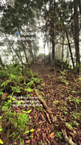 #CapCut #gunungsekaju#alamyang indah