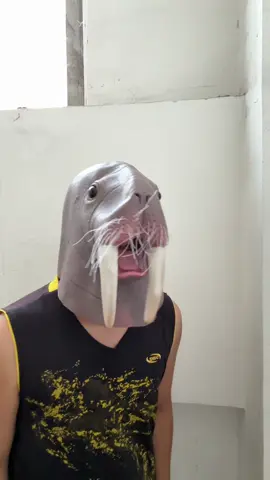 #cosplayer #fyp #sealion #funny #halloween 