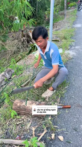 Trả lời @xù đầu trọc tết giao cỡ này mà mọi người còn chê#sangmientay #mientay #dao 
