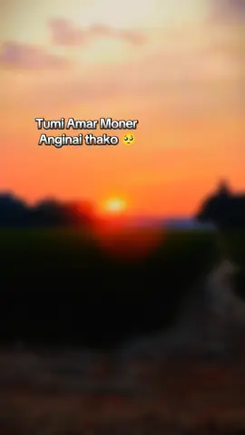 Tumi Amar Moner aginai thako #tanveerevansongs❤️ 