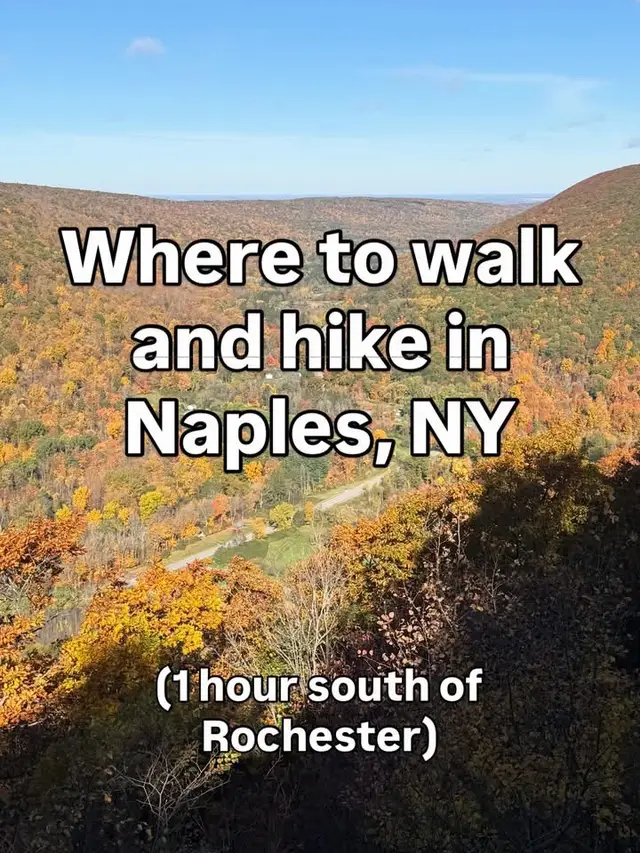🍁Naples, NY is located 1 hour south of Rochester and is full of beautiful hiking areas! From flat forest strolls to technical hikes on steep terrain, there is something for everyone!  📸 Photos from 10-19-2026 📍Spots around the Greater Rochester Area are located on the traditional homelands of the Haudenosaunee Confederacy  🏷️ #iloveny #rochesterny #thisisroc ROC 585 WNY western New York FLX finger lakes