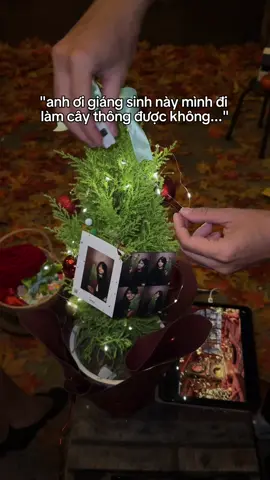 Giáng sinh nàyyyyy đi làm cây thông 🎄🎄