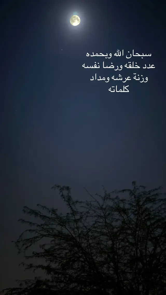 #اكسبلورexplore 