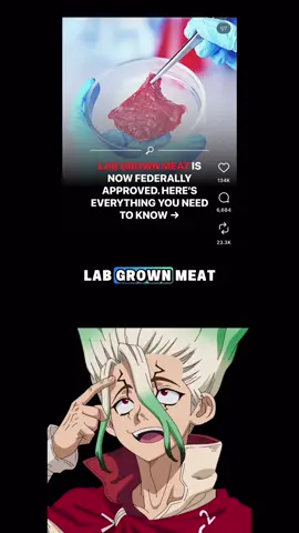 Let’s talk about lab grown meat and why it might not be what you think. Let me explain the science, Senku style! #senku #labgrownmeat #plantbased #anime 