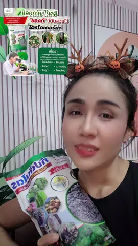#ไตรโคเดอร์ม่า #ฟีด  #ทำสวน #รักษาโรคพืช  #เผื่อใครถามว่าซื้อไหน  📌☘️เชื้อรา ไตรโคเดอร์มาสายพันธุ์เข้มข้น ร ชนิดอัดแท่ง (Captainkoko) คือเชื้อราไตรโคเดอร์มาสายพันธุ์เข้มข้น ผลิตจากห้องแล็บ ช่วยป้องกันและรักษาโรคพืชที่เกิดจากเชื้อรา เช่น  โรครากเน่า โคนเน่า และใบจุด  โดยมาในรูปแบบเม็ดที่ใช้งานง่าย มีส่วนผสมธาตุอาหารพืช เพียงโรยรอบทรงพุ่ม 1-2 กำมือ และรดน้ำตาม ทุก 15-30 วัน  ข้อดี กัปตันไตร ชนิดอัดแท่ง กัปตันไตร ( Trichoderma) ชนิดอัดแท่ง/อัดเม็ด เป็นชีวภัณฑ์ป้องกันและกำจัดโรคพืชทางดินที่ใช้ง่าย มีประสิทธิภาพสูงในการรักษา โรครากเน่า  โคนเน่า  ผลเน่า  โรคคอดิน  โดยการทำงานของเชื้อราไตรโคเดอร์มาผสมกับสารอินทรีย์ช่วยปรับปรุงดินและเร่งการเจริญเติบโตของรากพืช ปลอดภัยต่อผู้ใช้และสิ่งแวดล้อม 100%  ข้อดีของกัปตันไตร ชนิดอัดแท่ง (อัดเม็ด) ใช้งานง่ายและสะดวก: เพียงแค่ฝังลงดิน หรือโรยรอบทรงพุ่ม โดยไม่ต้องผสมน้ำฉีดพ่น ลดขั้นตอนการทำงานของเกษตรกร ออกฤทธิ์ได้นานและตรงจุด: รูปแบบอัดแท่งช่วยให้เชื้อค่อยๆ ปล่อยเชื้อไตรโคเดอร์มาลงสู่ดินรอบรากพืชอย่างต่อเนื่อง จึงรักษารากและโคนเน่าได้ดีกว่า ประสิทธิภาพการยับยั้งเชื้อราสูง: มีความเข้มข้นสูง ช่วยยับยั้งและกำจัดเชื้อราสาเหตุโรคพืช เช่น Phytophthora (ไฟท็อปเทอร่า) ได้อย่างตรงจุด
