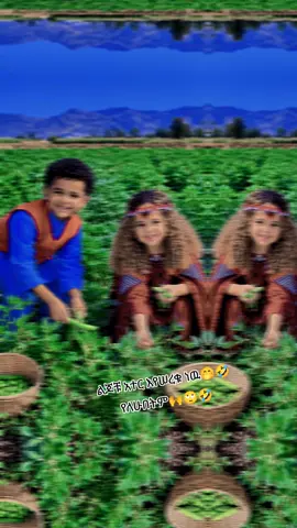 #🤭🤭🤭🤭🤭🤭🤭🤭🤭🤭 #🤣🤣🤣🤣🤣🤣🤣🤣🤣🤣🤣🤣🤣🤣🤣🤣 #ethiopian_tik_tok🇪🇹🇪🇹🇪🇹🇪🇹ሀገሬ #ፍቅር➻ብቻ🖇ፍቅር➻ብቻ❤🥀🔐 #ሀበሻ🇪🇹🇪🇹🇪🇹tiktok 