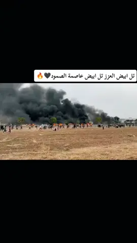 #تلابيض_تلابيض_سلوك_سلوك #سلوك_تل_ابيض_راس_العين_نبع_سلام #الرقه_الحسكه_ديرالزور_الفرات #السكريه_الكبيره💚💚 #الرقاوي 