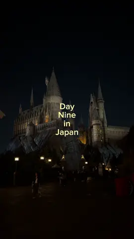 Une journée à Universal Studios au Japon  🤩🇯🇵 #japan #voyagejapon #vlogjapon #japanfood #universalstudio 
