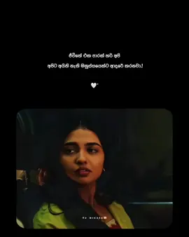 🤍