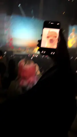 beabadoobee + chihuahua singing  #foryoupage #beabadoobee #oakland #concert #meme 