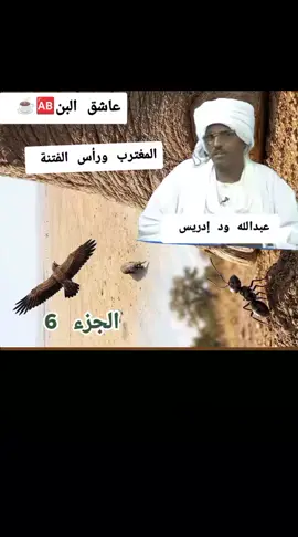 #تسجيل_قديم_من_الذاكرة #عبدالله_ود_إدريس #راس_الفتنة #عاشق_البن🆎☕ 