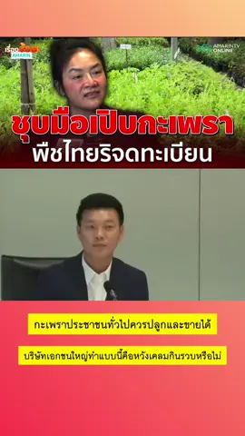 กะเพราประชาชนทั่วไปควรปลูกและขายได้ บริษัทเอกชนใหญ่ทำแบบนี้คือหวังเคลมกินรวบหรือไม่ #กะเพรา #เอกชน #เทรนด์วันนี้ #ข่าวtiktok #กระแสมาแรง 