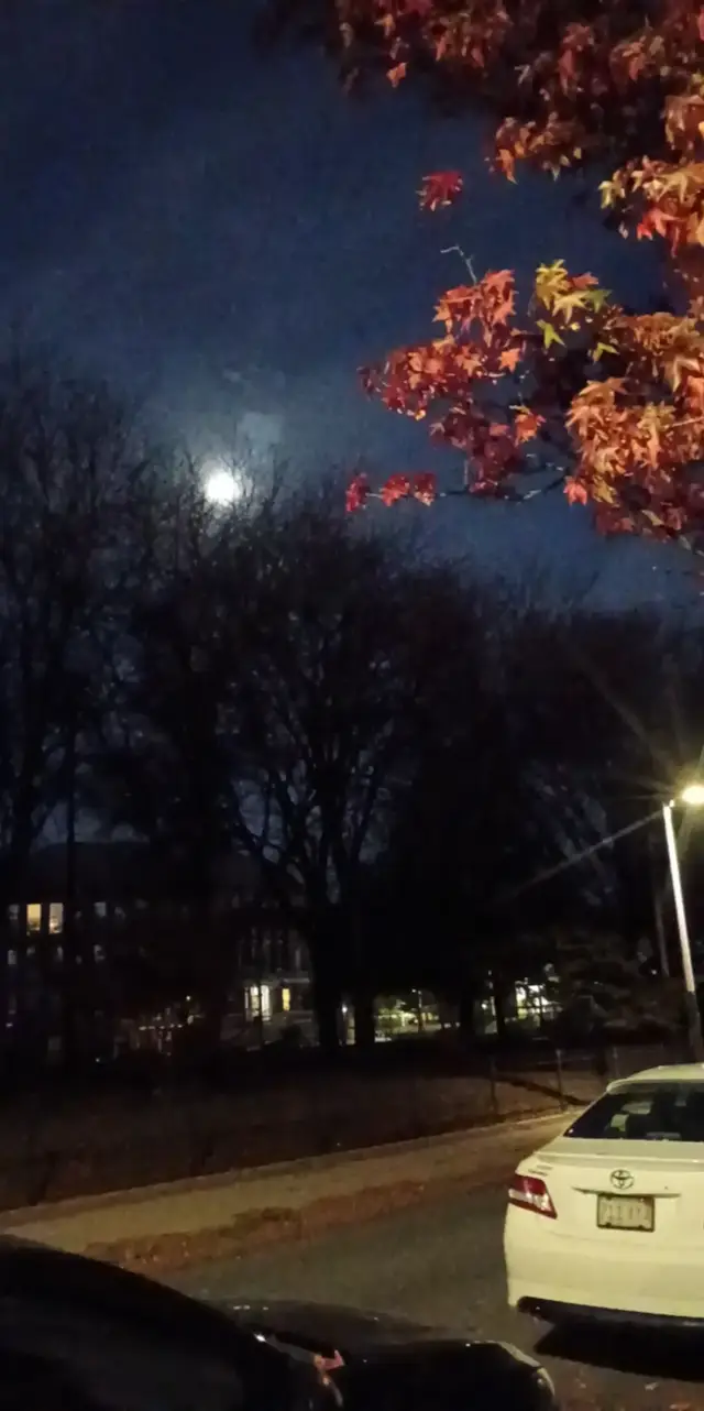 #fall #night #moon #pretty #asghetic