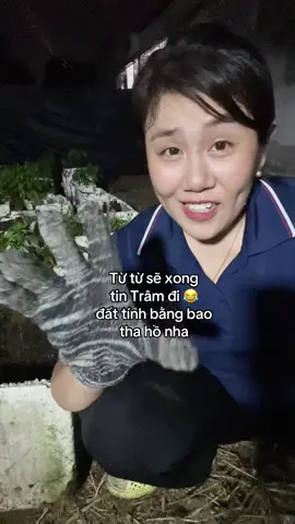 Nay nhiêu đây, tèn tèn hoy #vuonraucotrammoc #trammoctb 