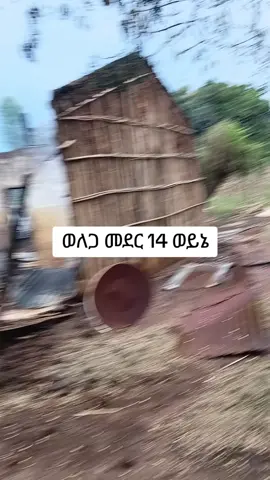 አይ ወለጋ😫😢😢
