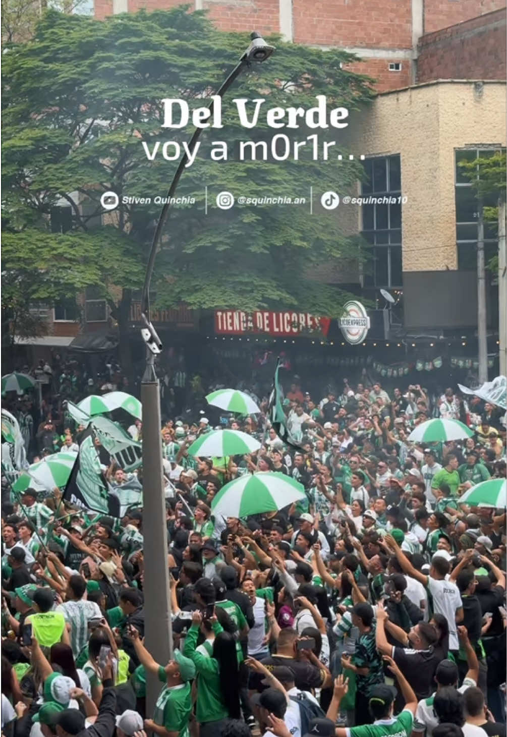 En las calles y las tribunas, la fiesta siempre la ponemos los sureños 🫡💚🤍 #atleticonacional #losdelsur #ligabetplay #desdelatribuna #barras