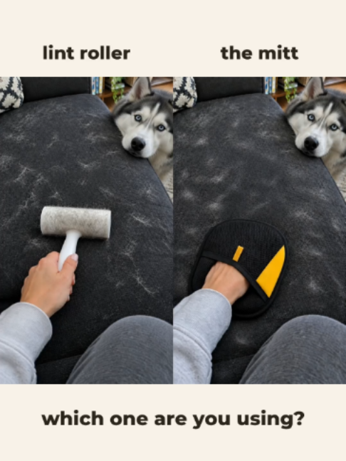 lint roller vs the mitt… which one are you using? 👇 #pethair #dogsoftiktok #catsoftiktok #huskiesoftiktok #cleaningtok #fyp