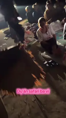 Cập nhật Dự án safari ba vì 😭#xuhuong #drama #xuhuongtiktok #tinnong #fyp 