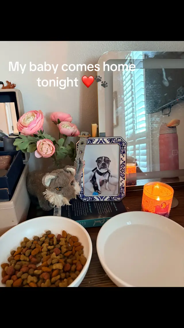 I know I don’t have everything for the ofrenda but it was the best I could do unfortunately  #ofrenda #childhooddog #cincodemayo #bestfriend #xyzbca 