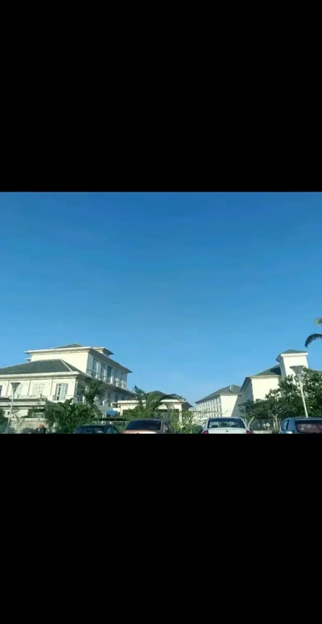 🌳 Assalamualaikum wbt  🌳Selamat pagi  🌳 Hiburan masa kerja boss