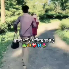 চলো পাখি পালিয়ে যা-ই 🐸🙏 #fyp #foryou #foryoupage #viral 