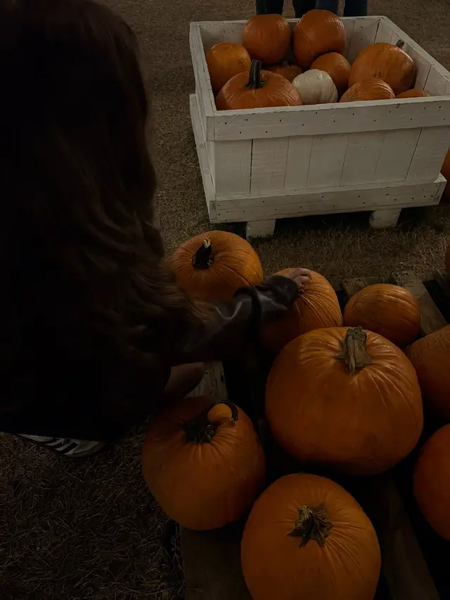 Falling for fall🎃🍂. #fallszn #pumpkinseason #aesthetic #foryoupage #cute 