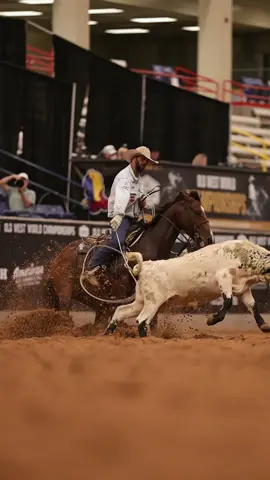 Just Dakota Kirchenschlager and Miss Peppys Rebel things 🤤 DK and his @FastBackRopes have won $43,282 on this mare in her futurity career.  METALLIC REBEL x MISS PEPPYS MOPED x SMART LIL SCOOT