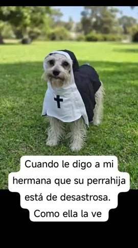 #galletita 