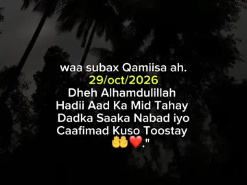 Alhamdulillah 🌴💕#lovesarrrrrr😭❤️#viewsproblem💔😔#40kfollowers😭#viral_video#followme