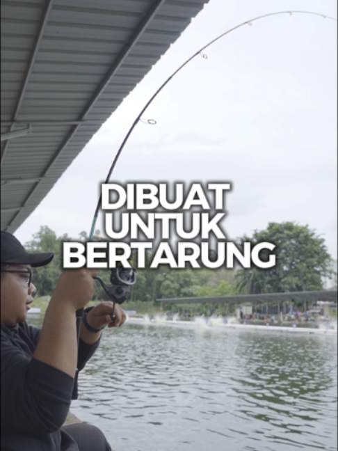 Joran pancing Galax dari Sea & Kings. Buat yang suka desain American dan Japan style grip, joran pancing Galax layak dilirik. Look-nya khas, spesifikasinya solid, dan pastinya keren buat dibawa ke spot! 🔥 #joranpancing #mancing #mancingmania #reelpancingmurah #alatpancingmurah #alatpancing #seaandkingsindonesia #sahabatpancing88 #sahabatpancing #reelpancing