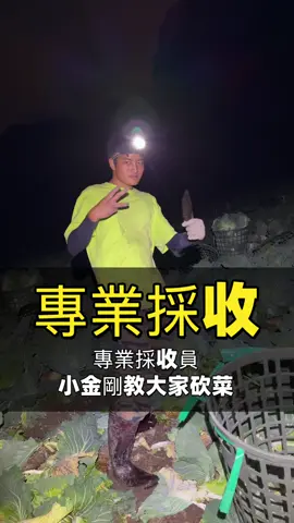 歡迎小金剛砍菜員 來教大家如何採收高麗菜做分級包裝17歲而已這個砍菜姿勢給幾分？？ #高麗菜 #青農 #小金剛 #用心經營 #上推薦通知我 