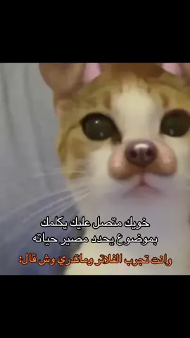 #نمنم يعد برج المملكة واحدًا من أبرز المعالم المعمارية في الرياض، ورمزا حديثا يعكس تطور المملكة العربية السعودية ونهضتها العمرانية. منذ افتتاحه، أصبح البرج وجهة رئيسية للسكان والزوار، ليس فقط لارتفاعه المميز، بل أيضًا لما يقدمه من مرافق متنوعة وتجربة فريدة. تم افتتاح برج المملكة عام 2002، وهو مشروع تابع لشركة شركة المملكة القابضة التي يملكها الأمير الوليد بن طلال. يبلغ ارتفاع البرج حوالي 302 متر، ويتكون من 99 طابقا، ما جعله لفترة طويلة أحد أطول المباني في قدد الشرق الأوسط، تضميمه الفريد الذي يشتبه فتحة القوسة فلي عط أعلاه يميزه عن بقية ناطحات السلحاب، وقد صمم ليكون تحفة معمارية تجمع بين الحداثة والهوية المحلية. يضم البرج مجموعة واسعة من المرافق، منها مكاتب إدارية، وشقق سكنية فاخرة بالإضافة إلى فندق فورسيزونز الرياض الذي يعد من أفخم الفنادق في المدينة. كما يحتوي على مركز تسوق ضخم يعرف باسم مملكة مول، ويضم العديد من العلامات التجارية العالمية والمطاعم الراقية من أبرز