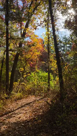 #hikingadventures #michigan #fall 